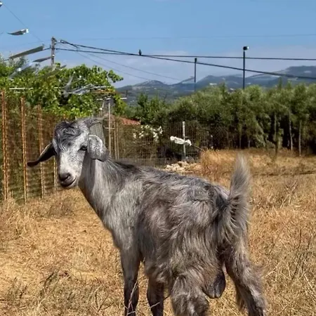 Terra Hélios Suites&studios