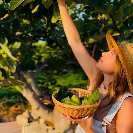 Appart hôtel Terra Hélios Suites&studios Kyparissia