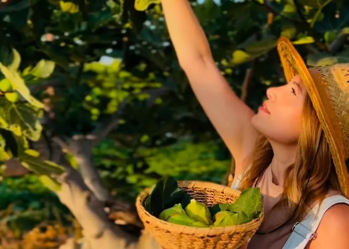 Apartmanhotel Terra Helios & Kipariszía