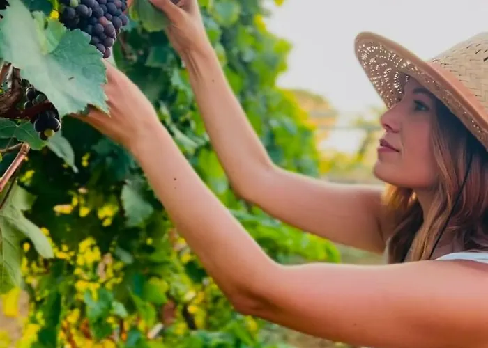 Terra Helios & Apartmanhotel 3*