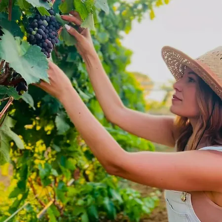 Terra Helios & Aparthotel 3*